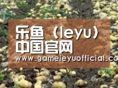种植基地七