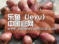 产品展示标题5