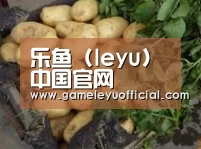 产品展示标题4