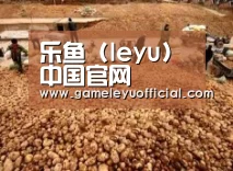 种植基地二
