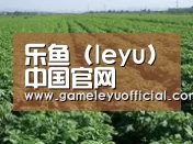 种植基地五(图1)
