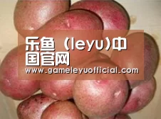 产品展示标题1