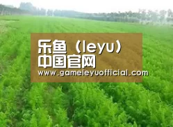 种植基地四