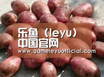 产品展示标题5(图1)