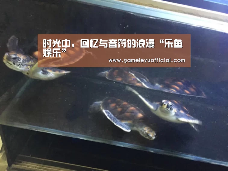 时光中,回忆与音符的浪漫“乐鱼娱乐”(图1) 乐鱼娱乐