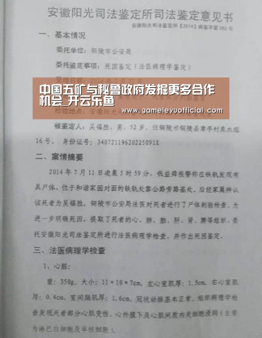 中国五矿与秘鲁政府发掘更多合作机会_开云乐鱼(图3) 乐鱼
