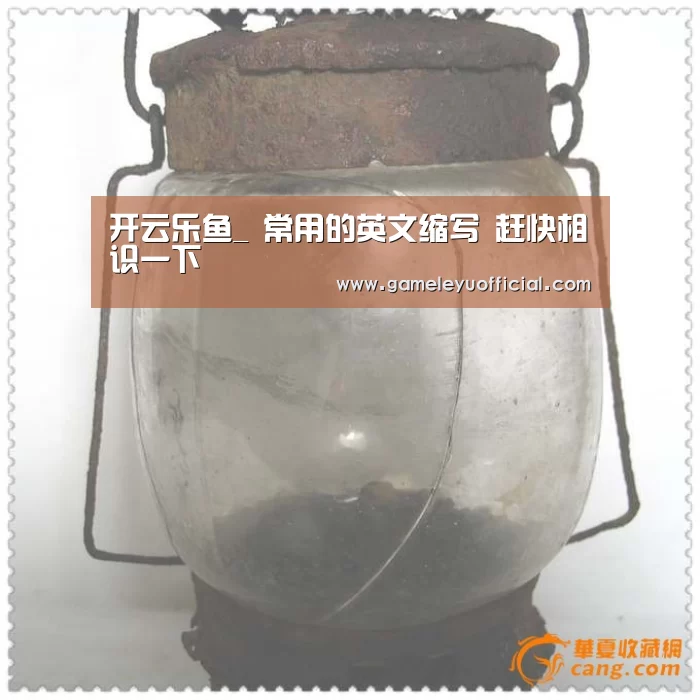乐鱼