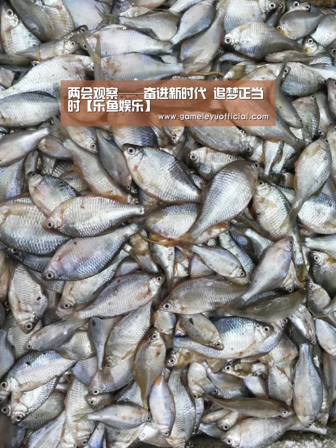 两会观察——奋进新时代 追梦正当时【乐鱼娱乐】(图1) 开云乐鱼