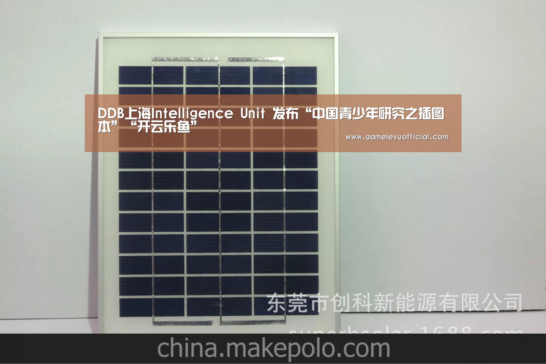 DDB上海Intelligence Unit 发布“中国青少年研究之插图本”“开云乐鱼”(图1) 开云乐鱼
